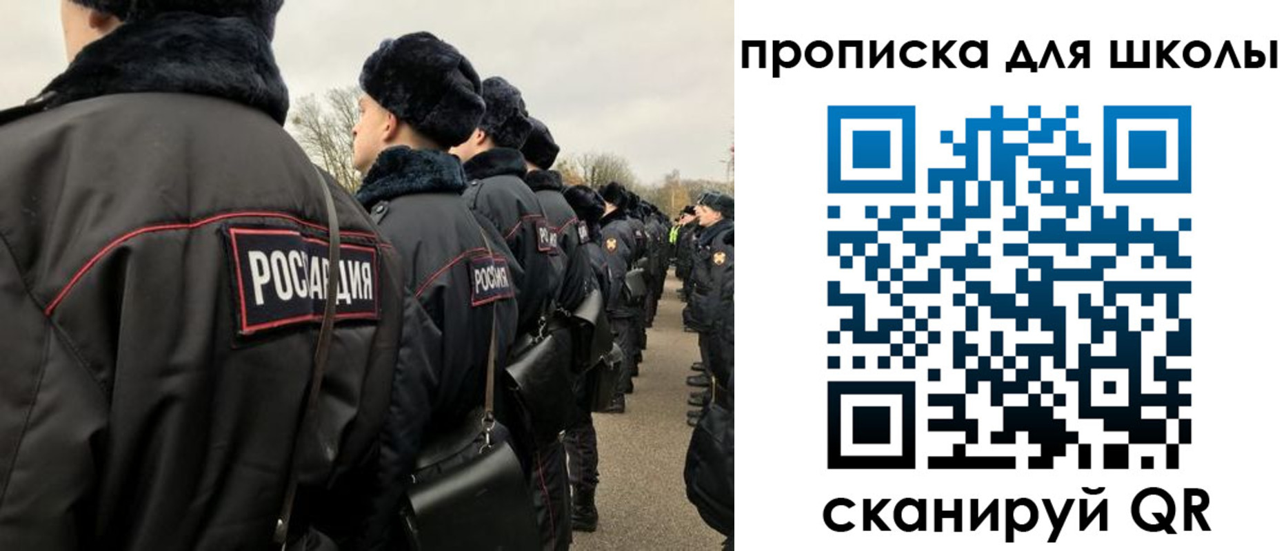 где прописаться в Ельне